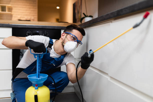 Best Ant Control Services  in Byng, OK