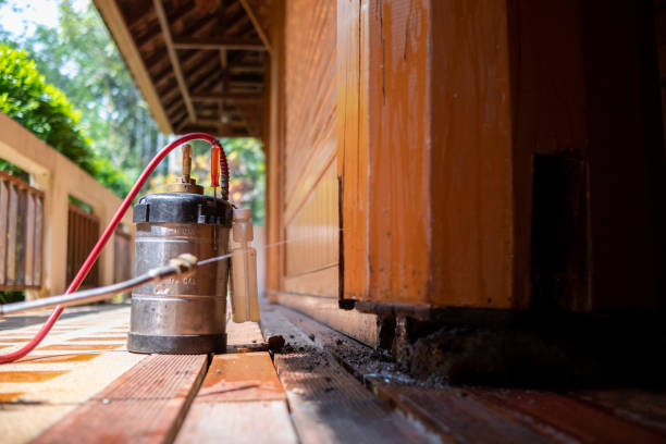 Best Affordable Pest Control Services  in Byng, OK
