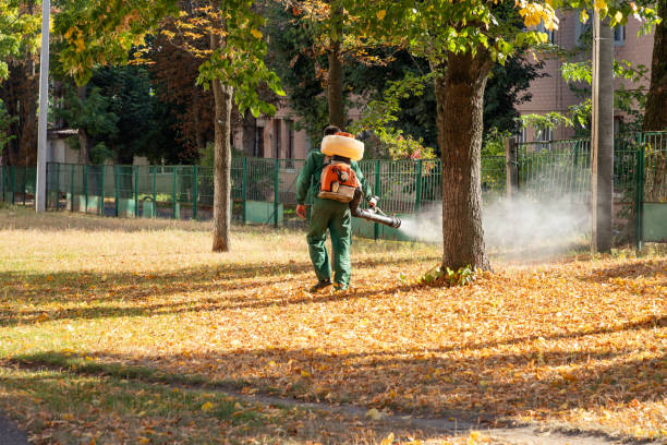 Byng, OK Pest Control Company