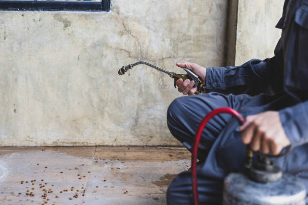 Best Pest Removal Services  in Byng, OK
